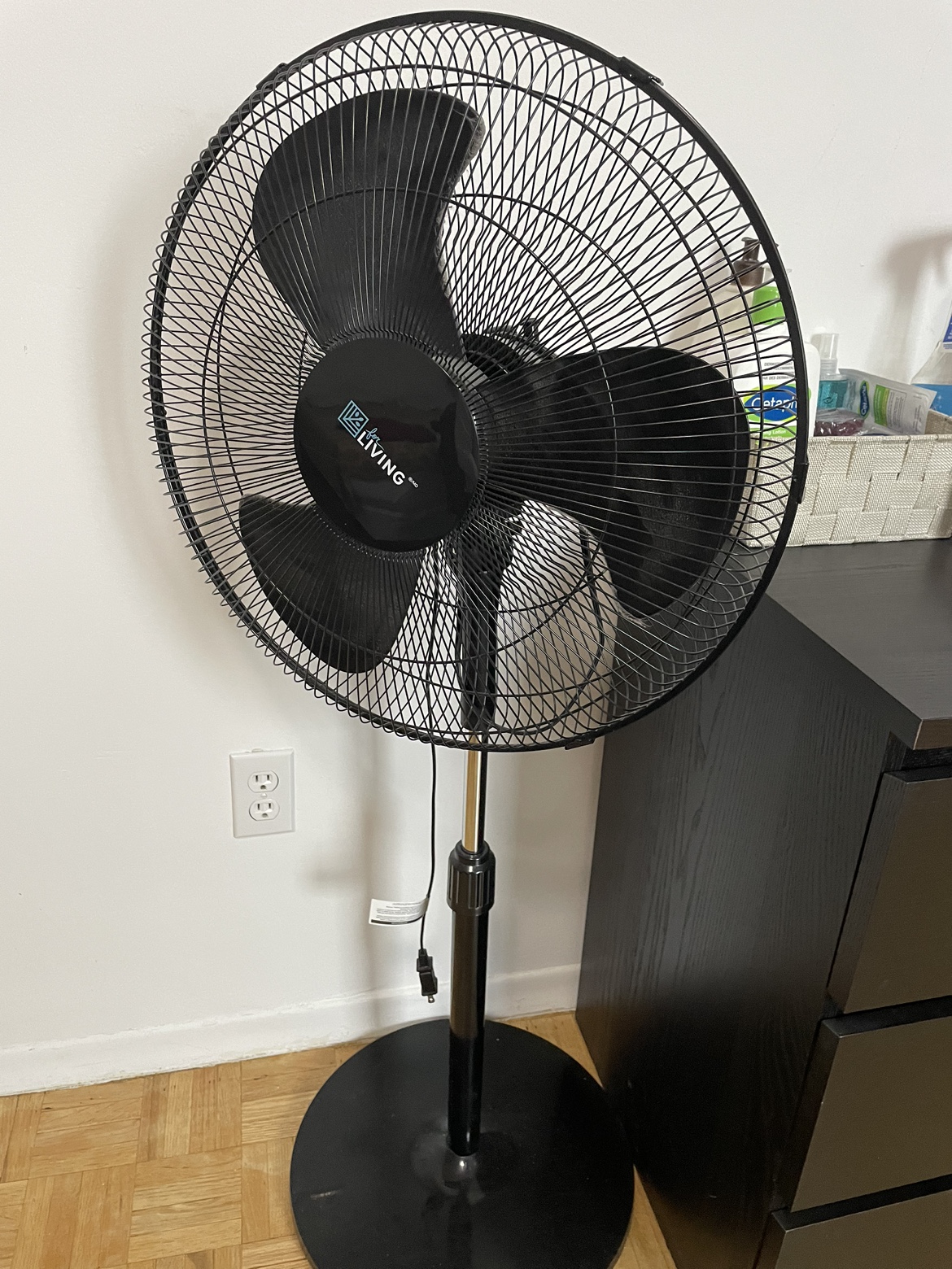 Fan (Pedestal)