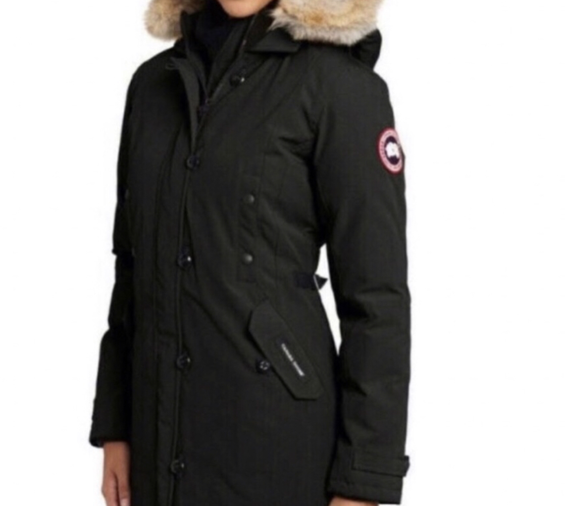 Canada goose Kensington thumbnail