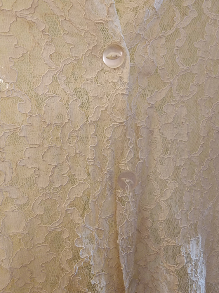 Vintage Lace Blouse image indicator(2)