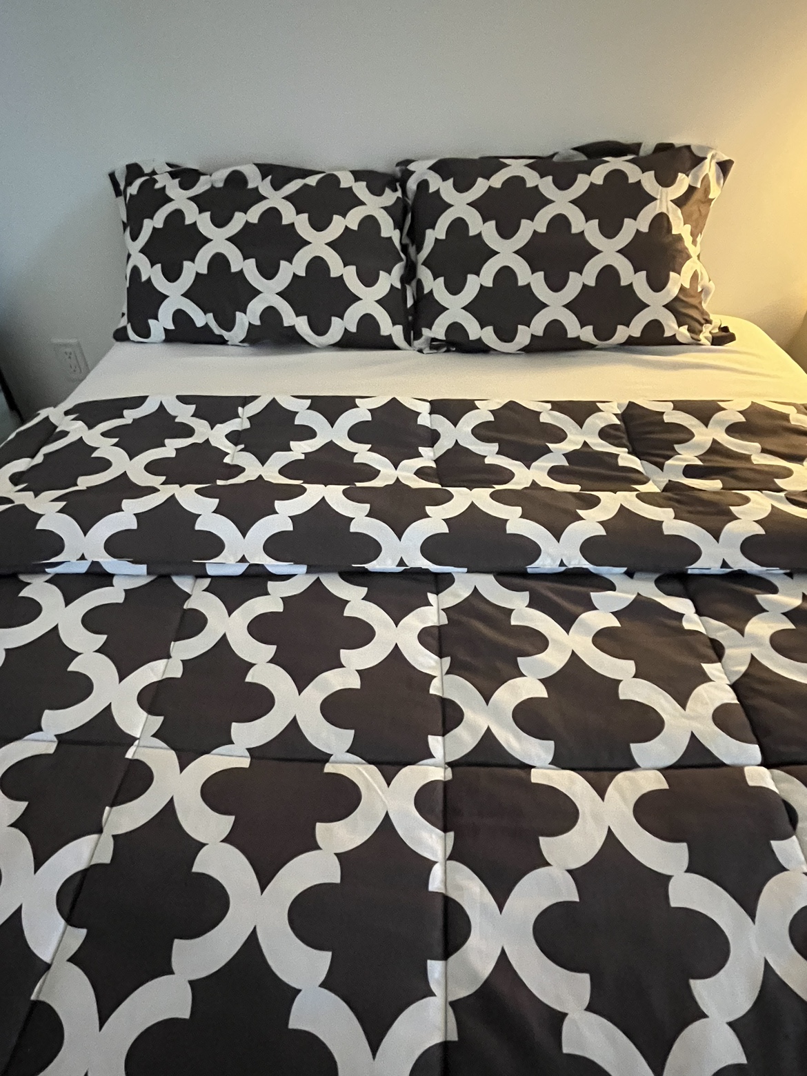 FREE Pillows and Blanket