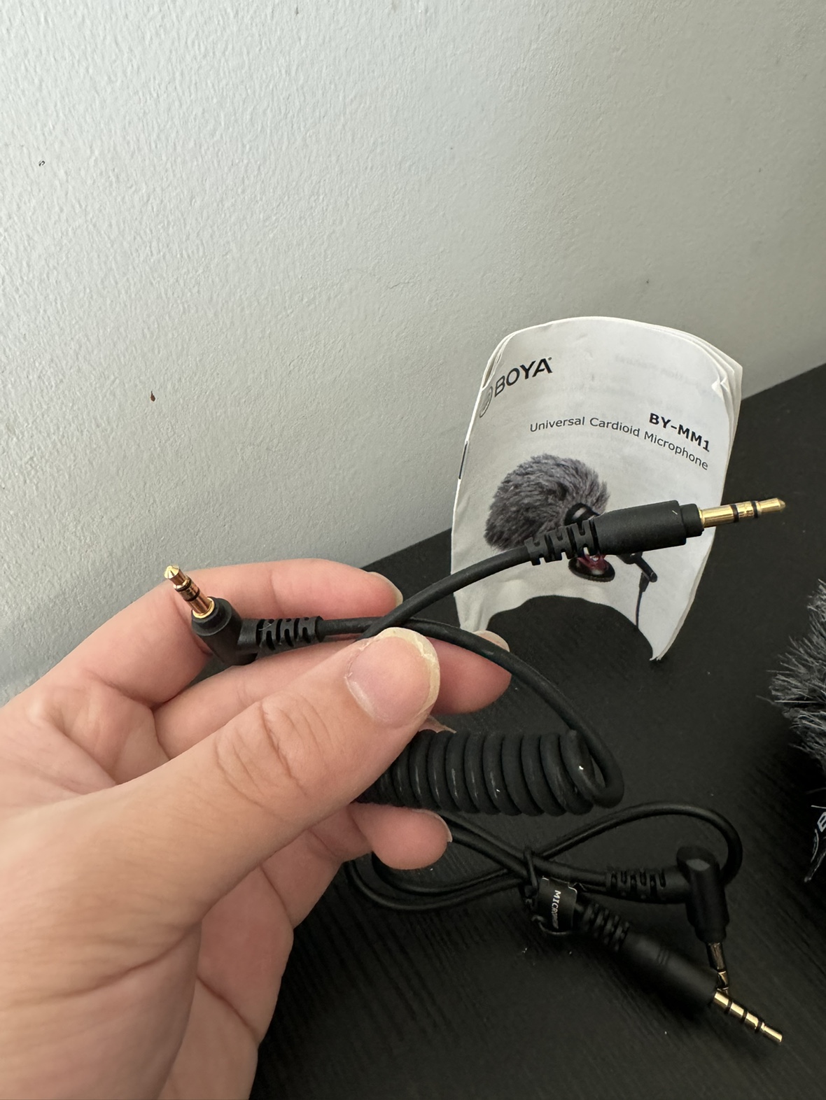 MICROPHONE - photo 4