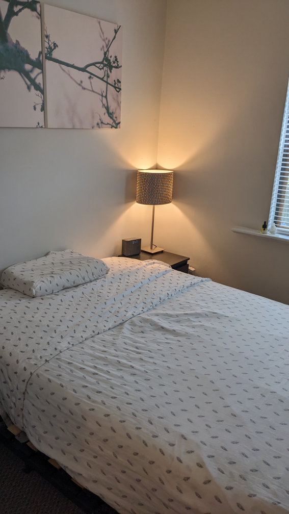Ikea Lycksele (sofa bed)