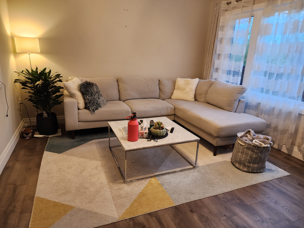 Sectional Couch/Sofa - photo 2