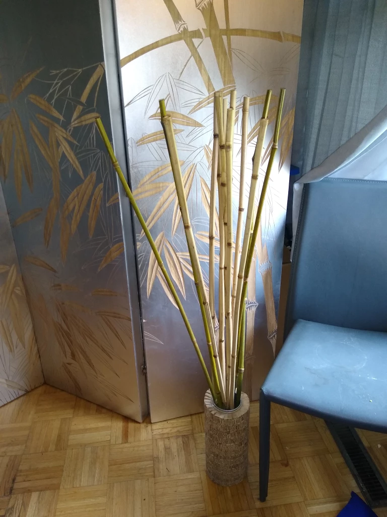 🥕Silver Room Divider with gold bamboo inlay image indicator(2)