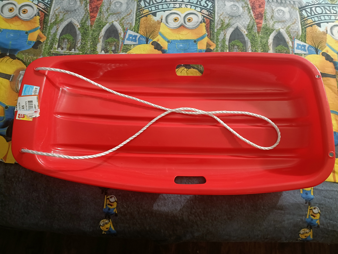 sled - photo 2