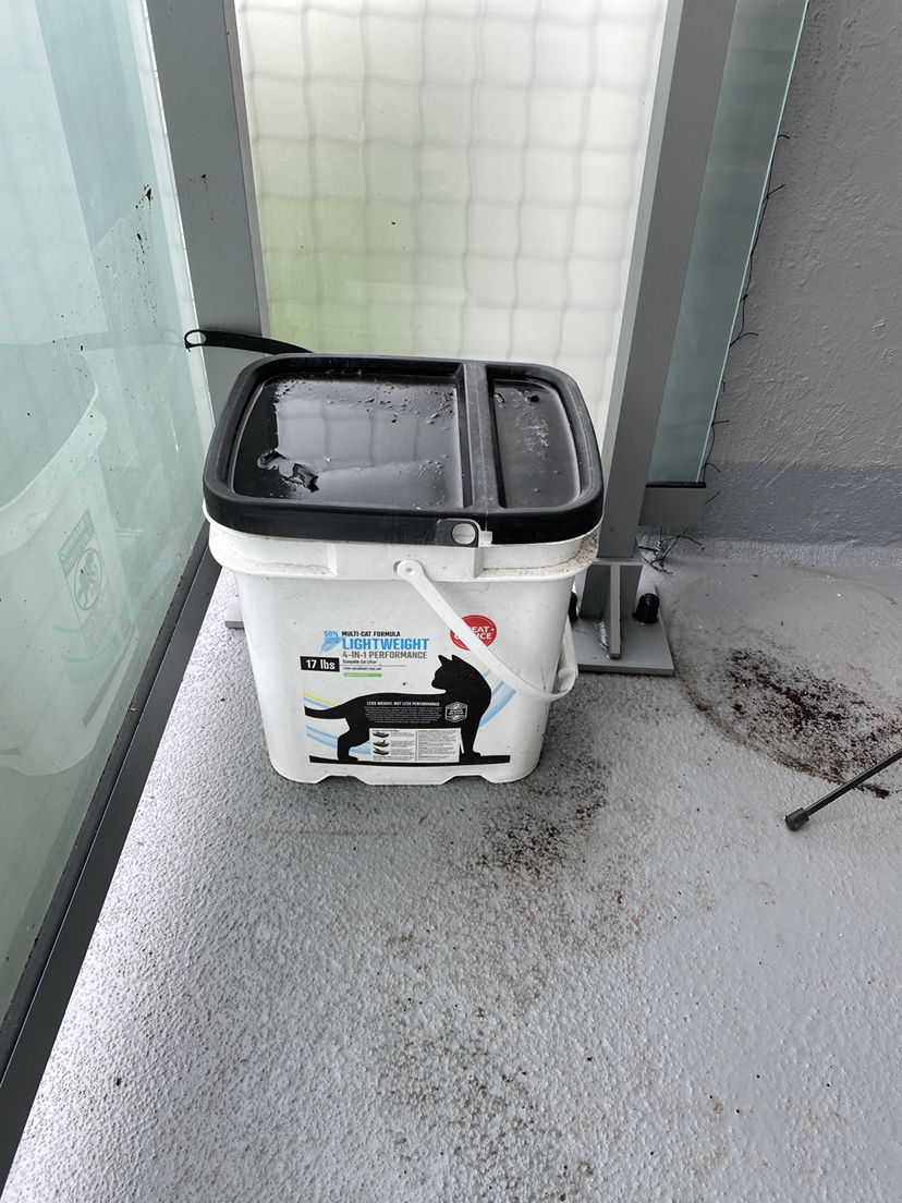 Cat Litter thumbnail