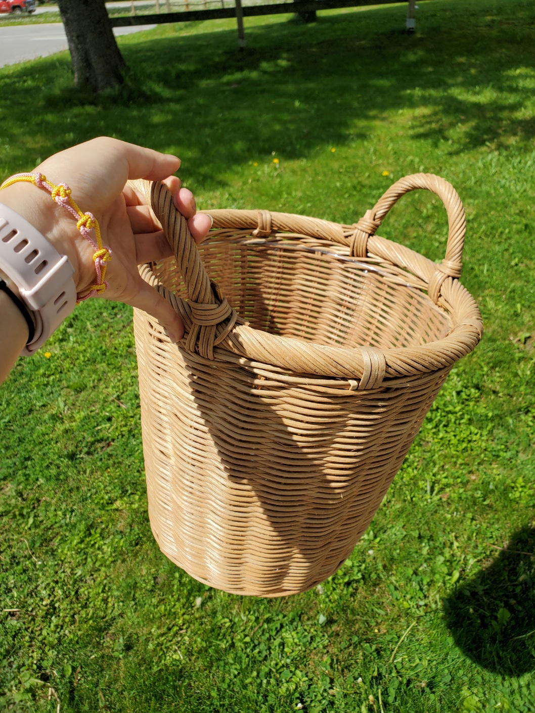 IKEA rattan plant pot 9.5in, kaktusfikon - photo 4