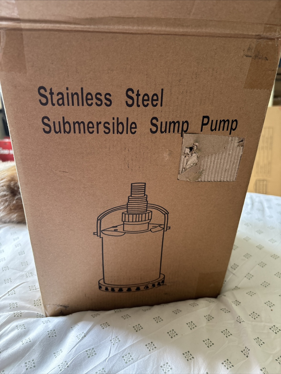 Sump pump