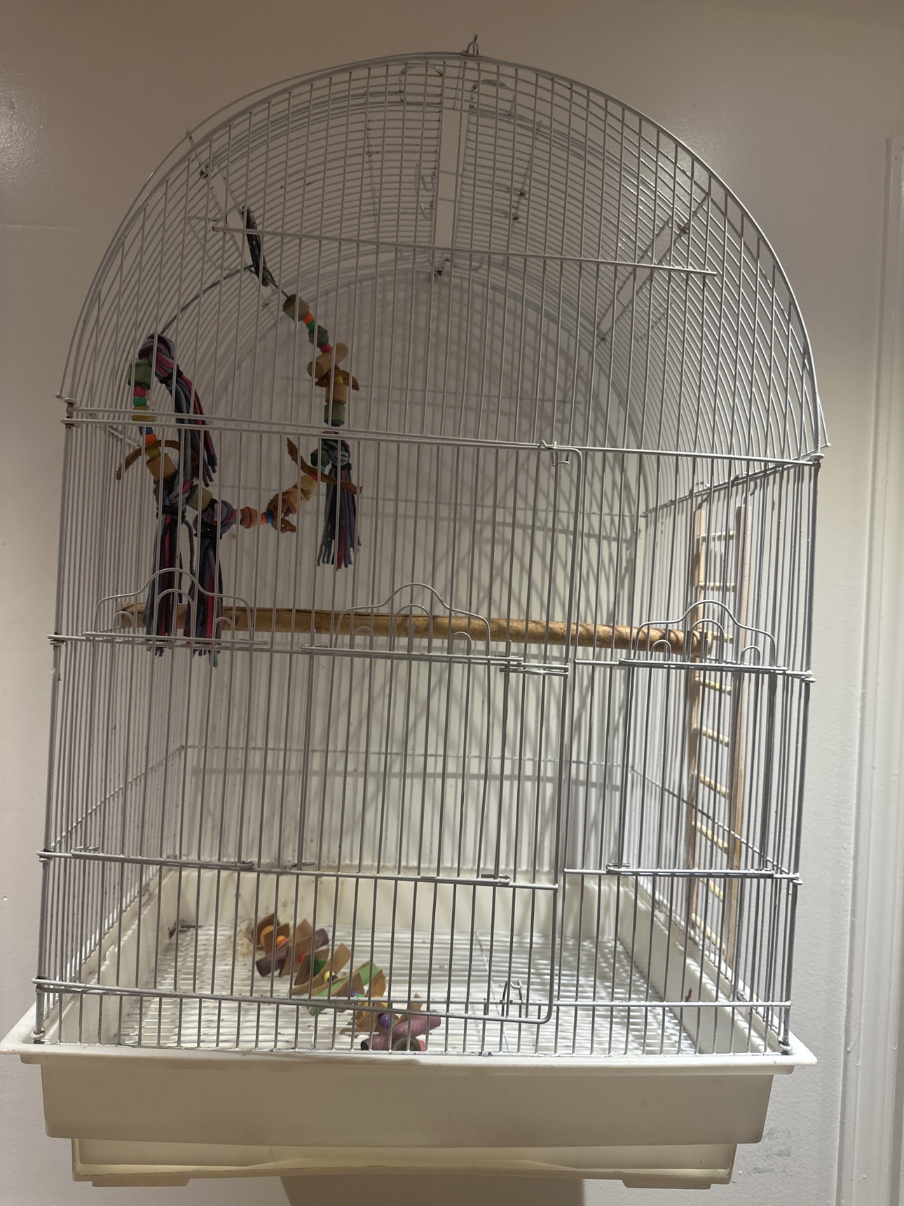 Bird Cage