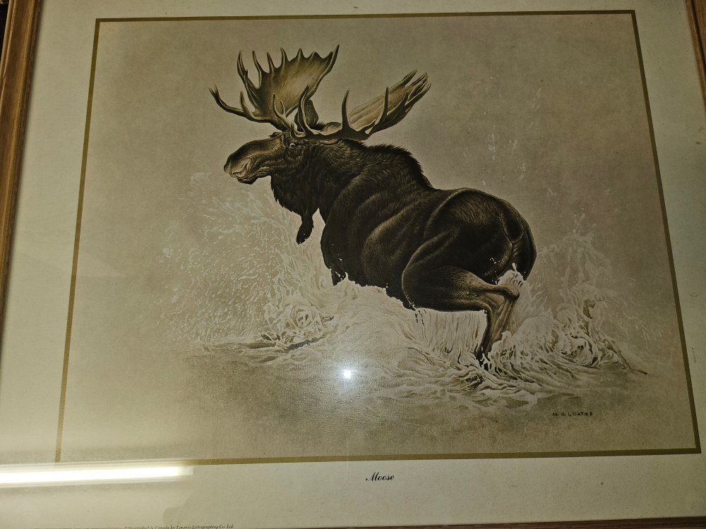 Glen Loates Vintage painted animal wall art work home decor image indicator(4)