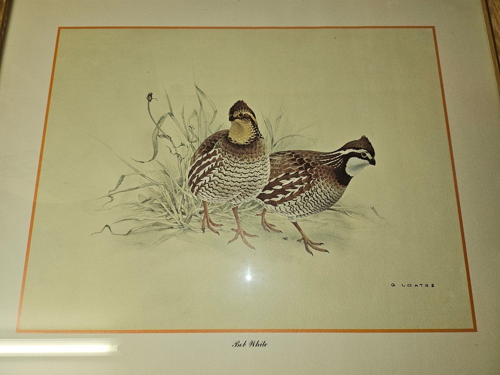 Glen Loates Vintage painted animal wall art work home decor image indicator(5)