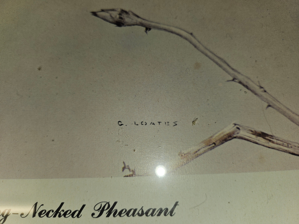 Glen Loates Vintage painted animal wall art work home decor image indicator(3)