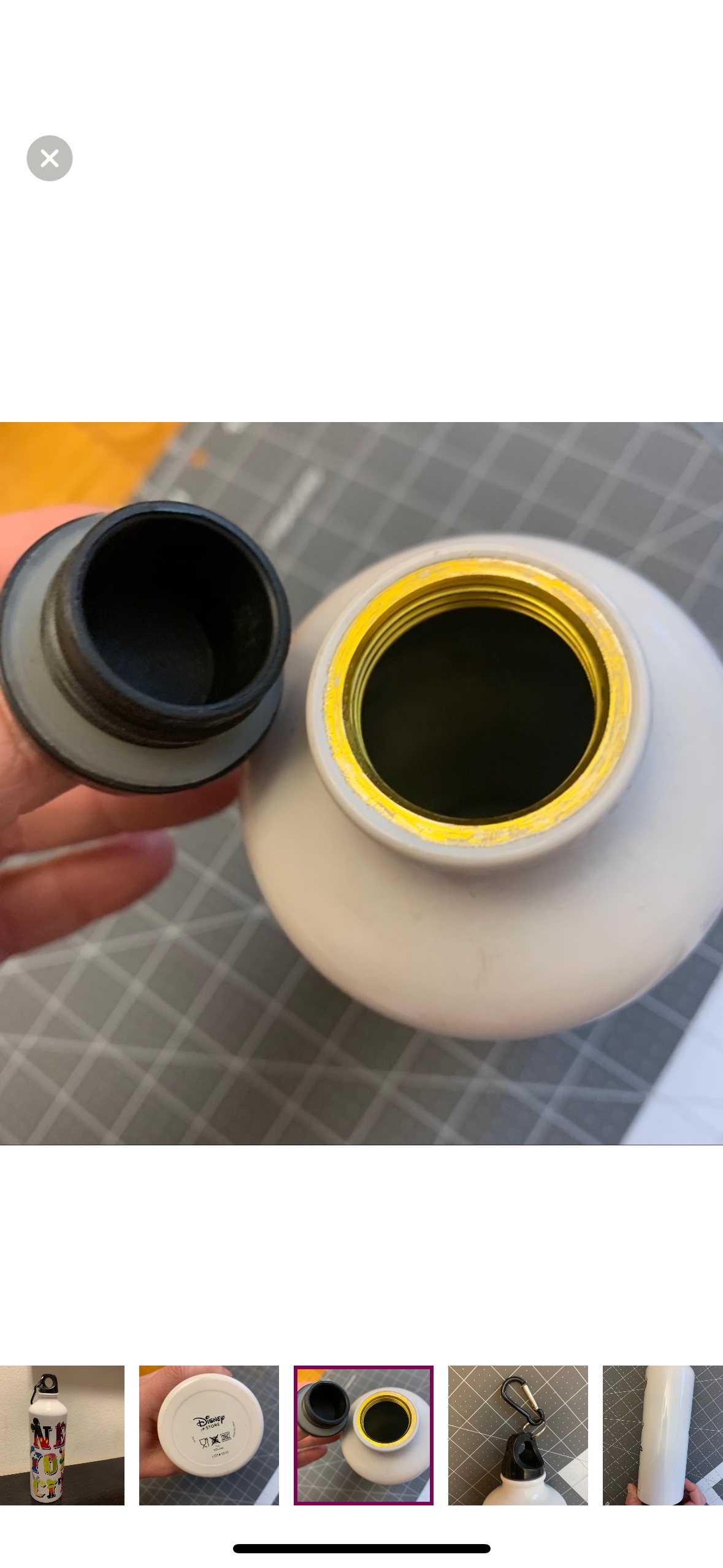 Disney New York City steel thermos image indicator(3)