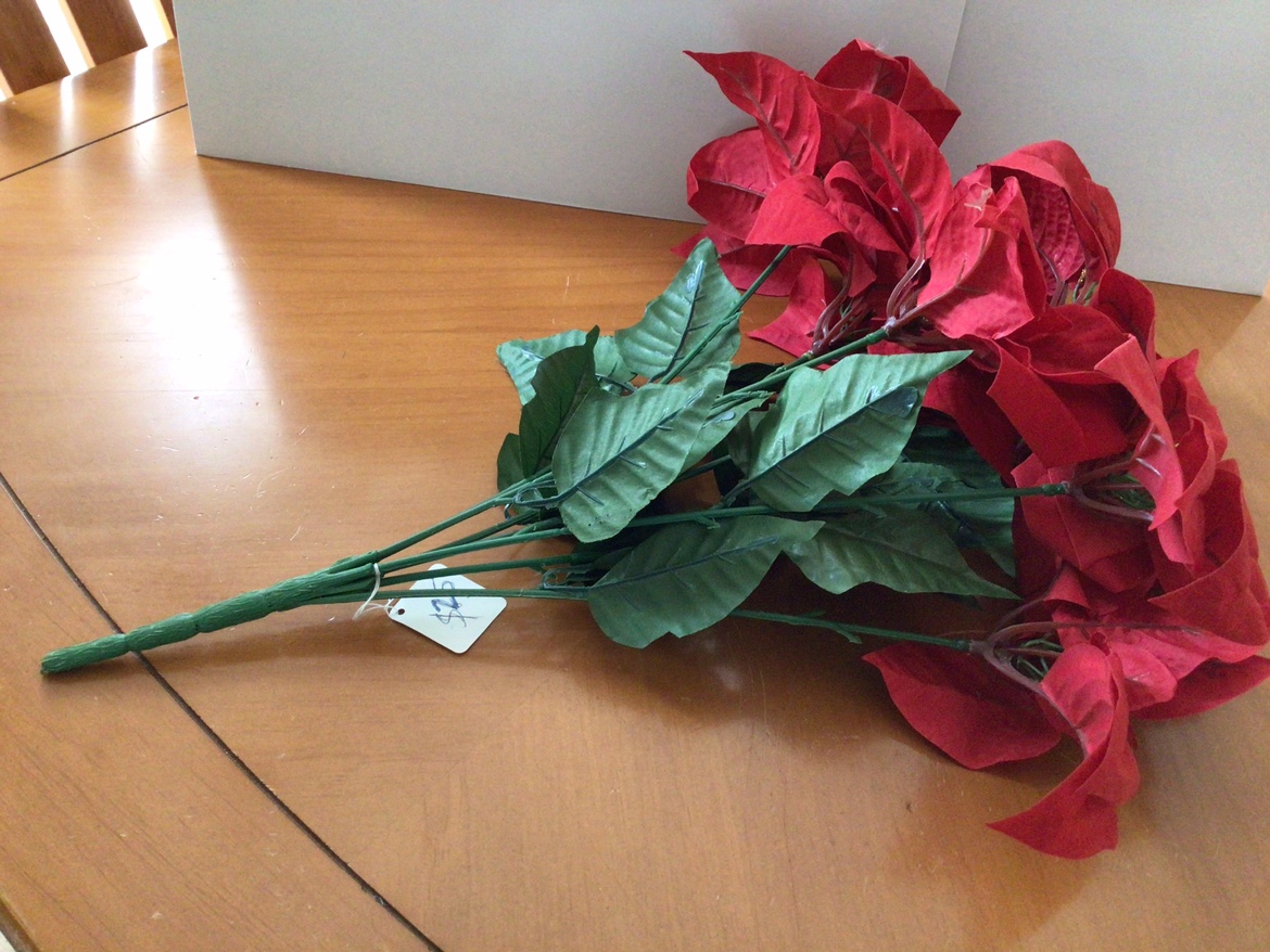 Poinsettia artificial image indicator(4)