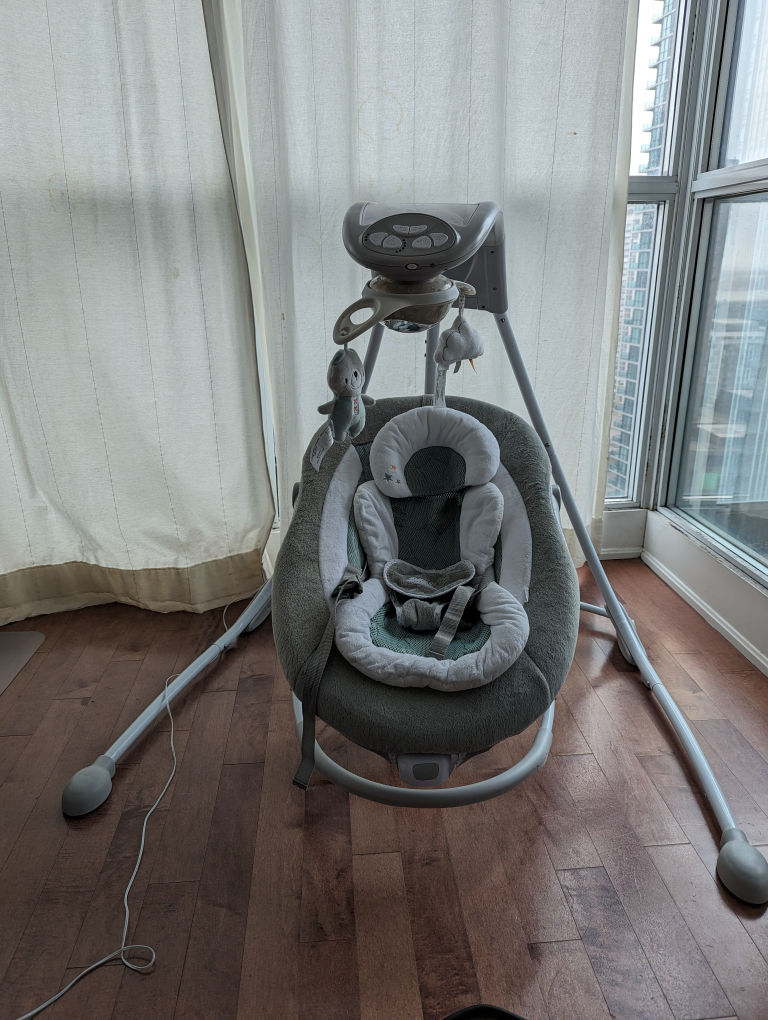 Ingenuity Baby Swing