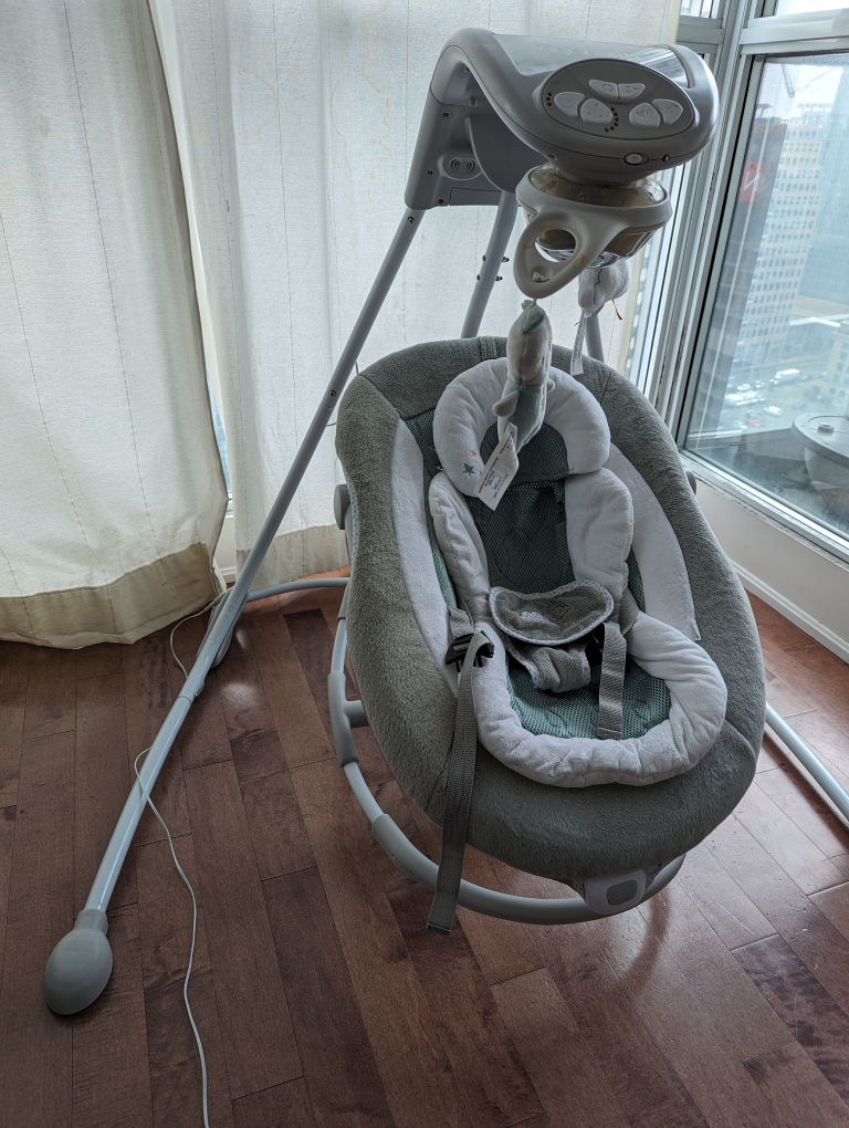 Ingenuity Baby Swing - photo 2