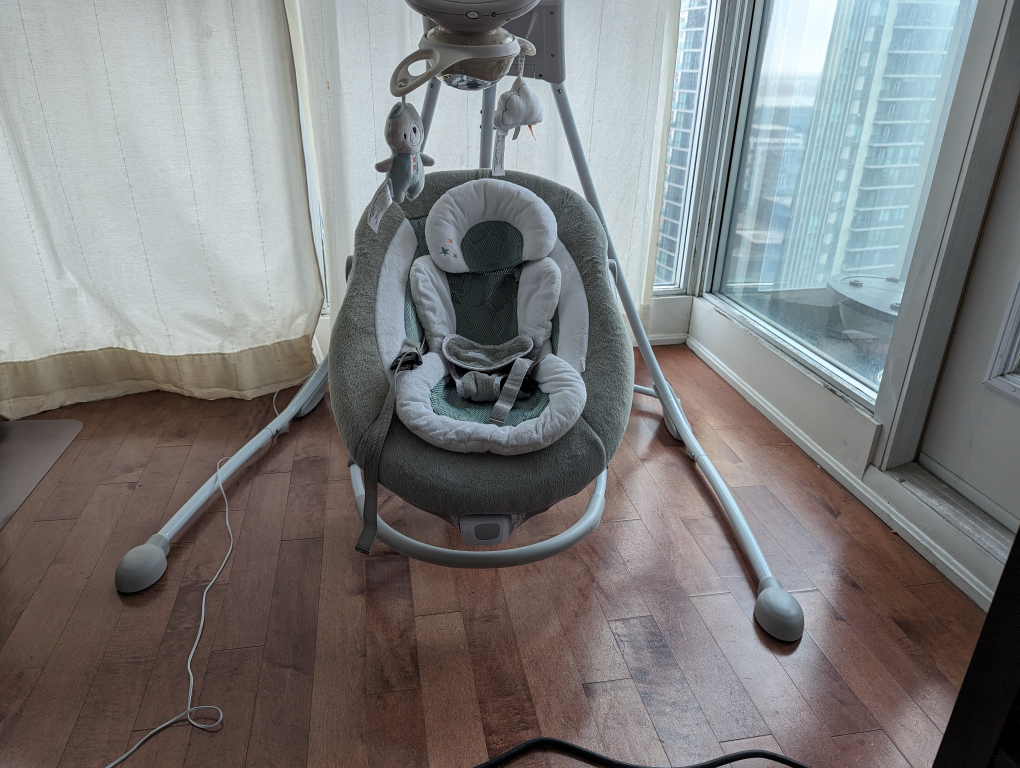 Ingenuity Baby Swing - photo 4