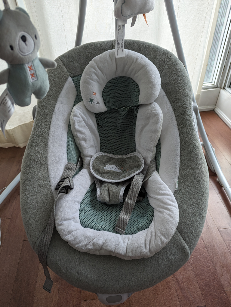 Ingenuity Baby Swing - photo 5