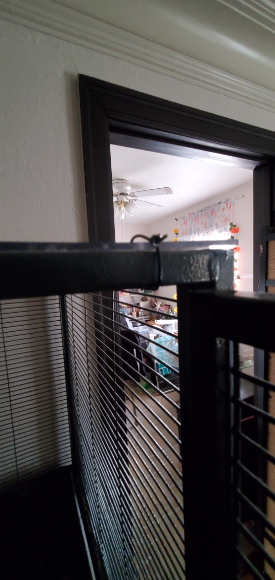 critter nation cage (read description) - photo 3