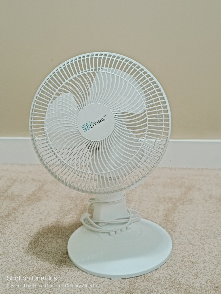 Oscillating Desk Fan