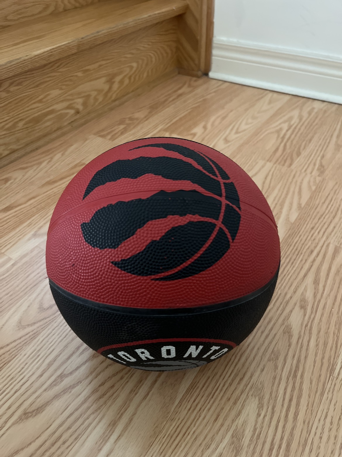 Toronto Raptors size 7 basketball image indicator(2)