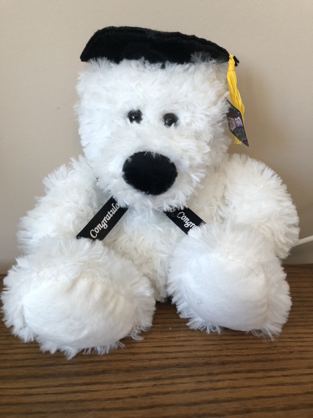 Graduation Bear NWT