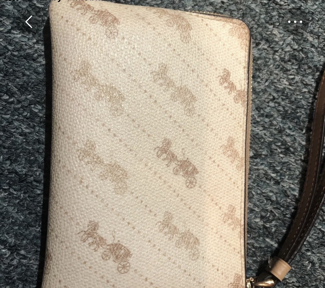 Coach Small Wrist Wallet image indicator(4)