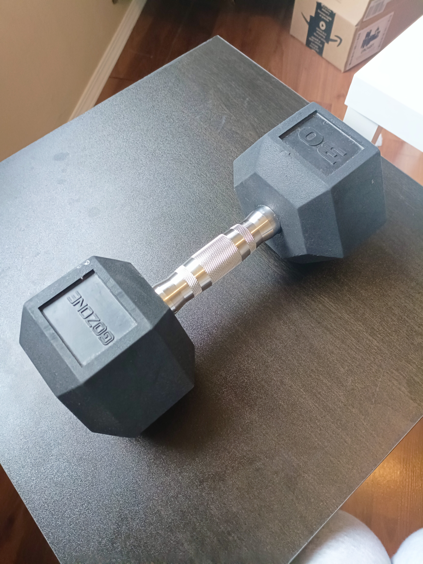 30lbs/13kgs dumbbell
