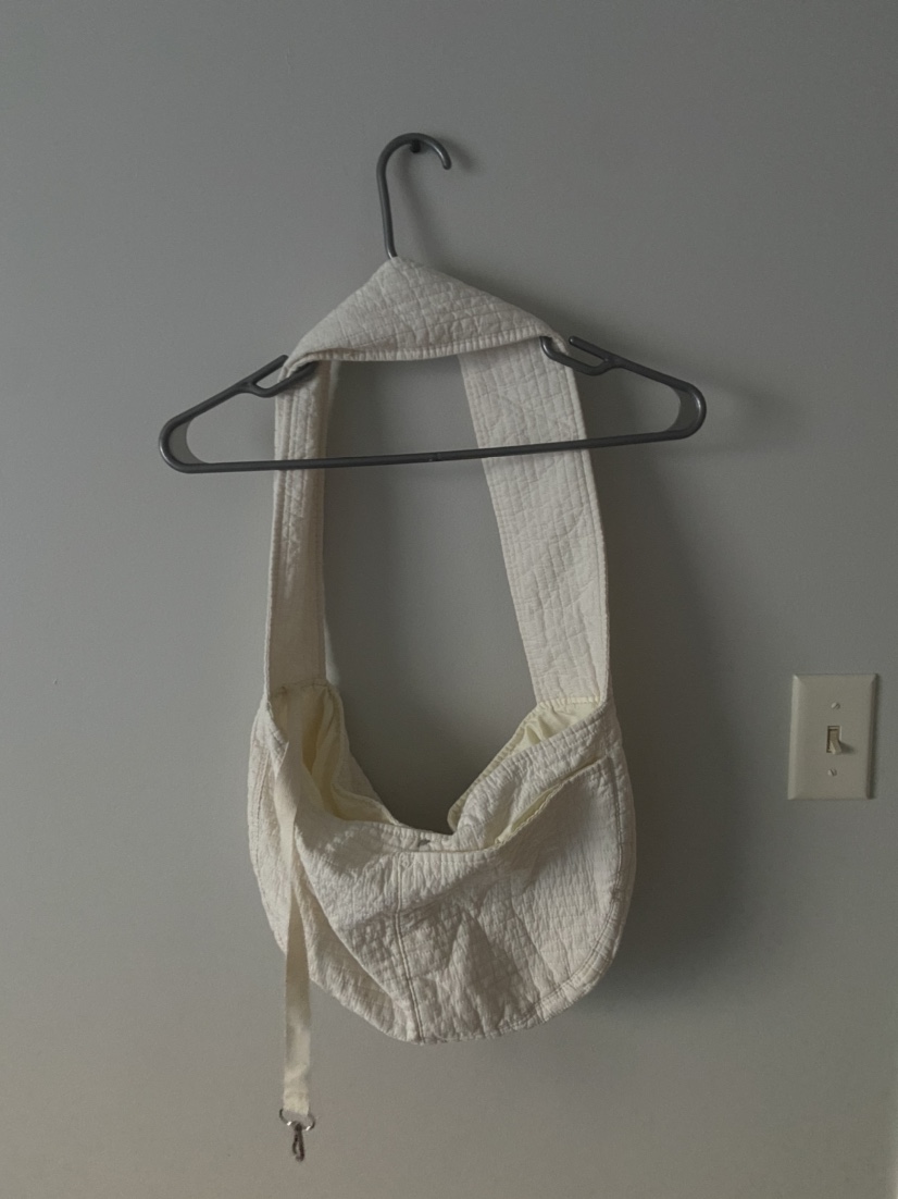 Cat Carrier Purse thumbnail