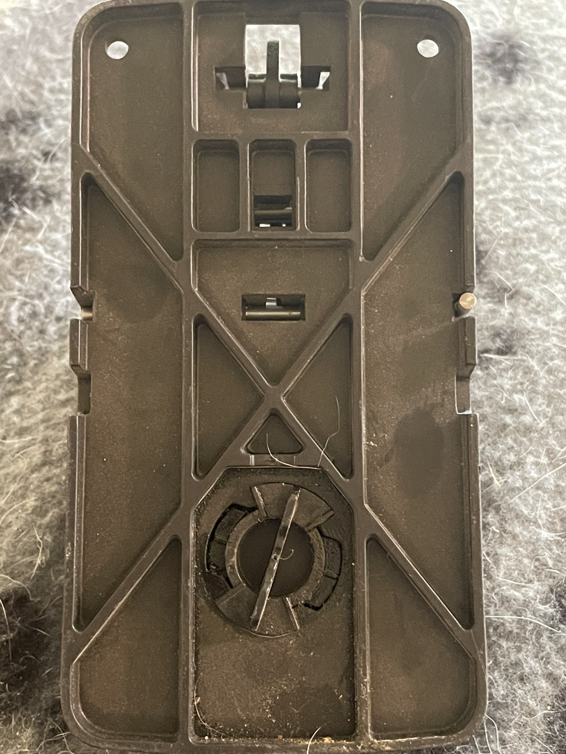 Superior rat trap image indicator(3)