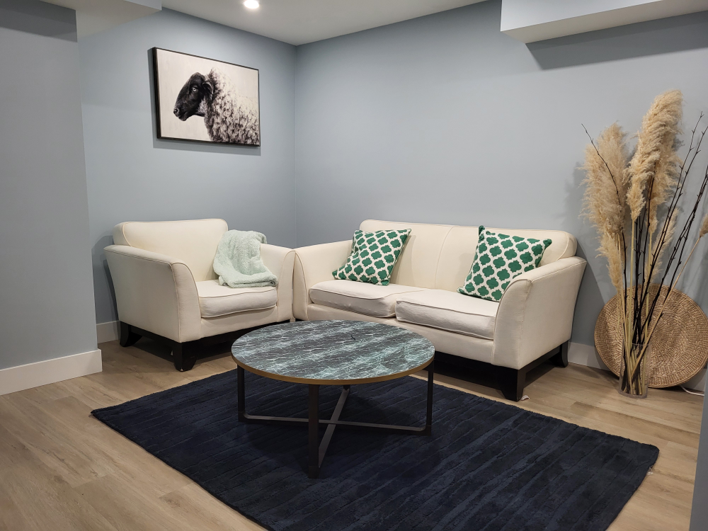 Pottery barn living  room set