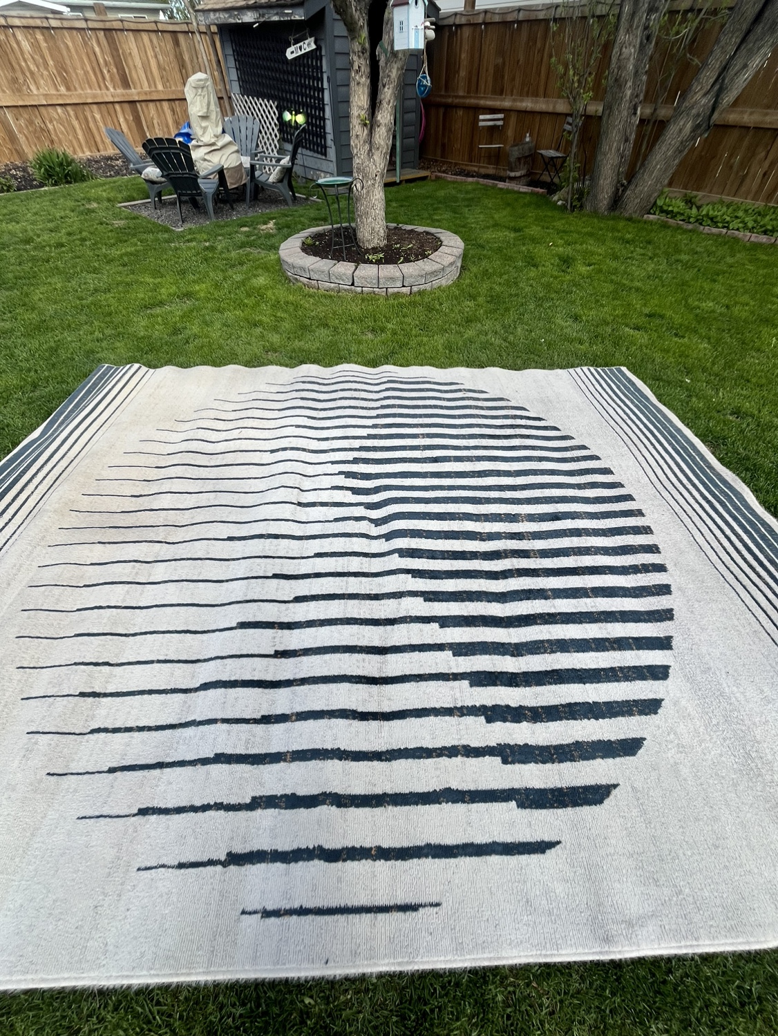 Area Rug - photo 2