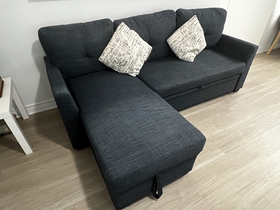 Pullout Sofa bed