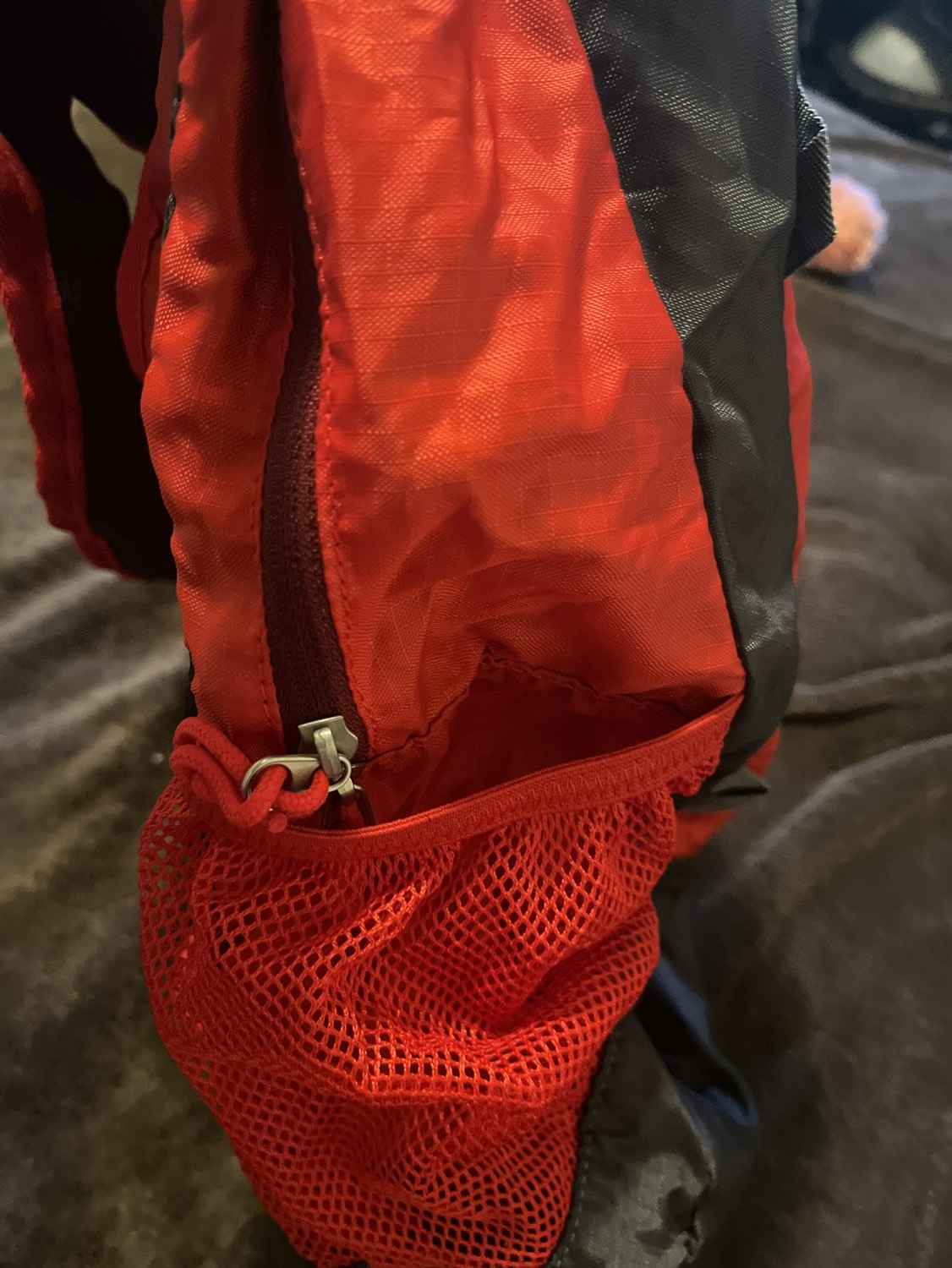 Eddie Baeur foldable backpack UNISEX image indicator(5)