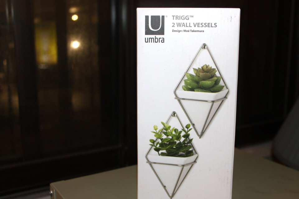 🧡 Umbra Plant hangers