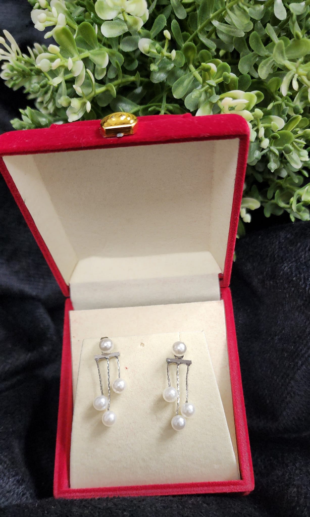 earings thumbnail