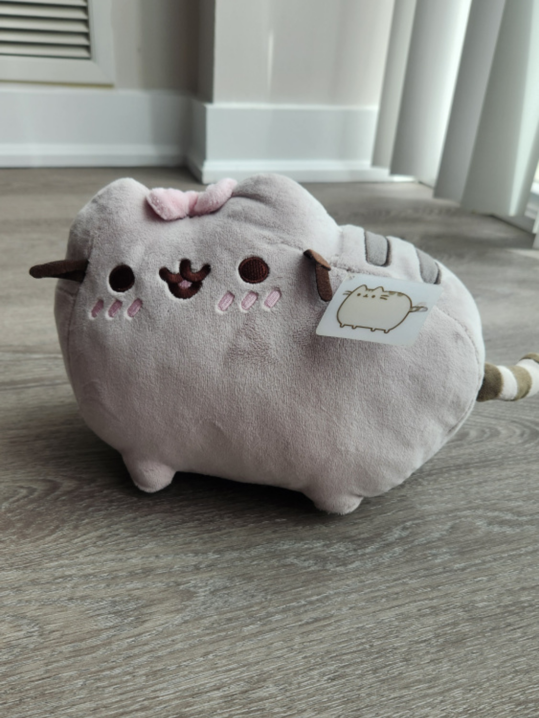 Pusheen - Pretty Pusheen thumbnail