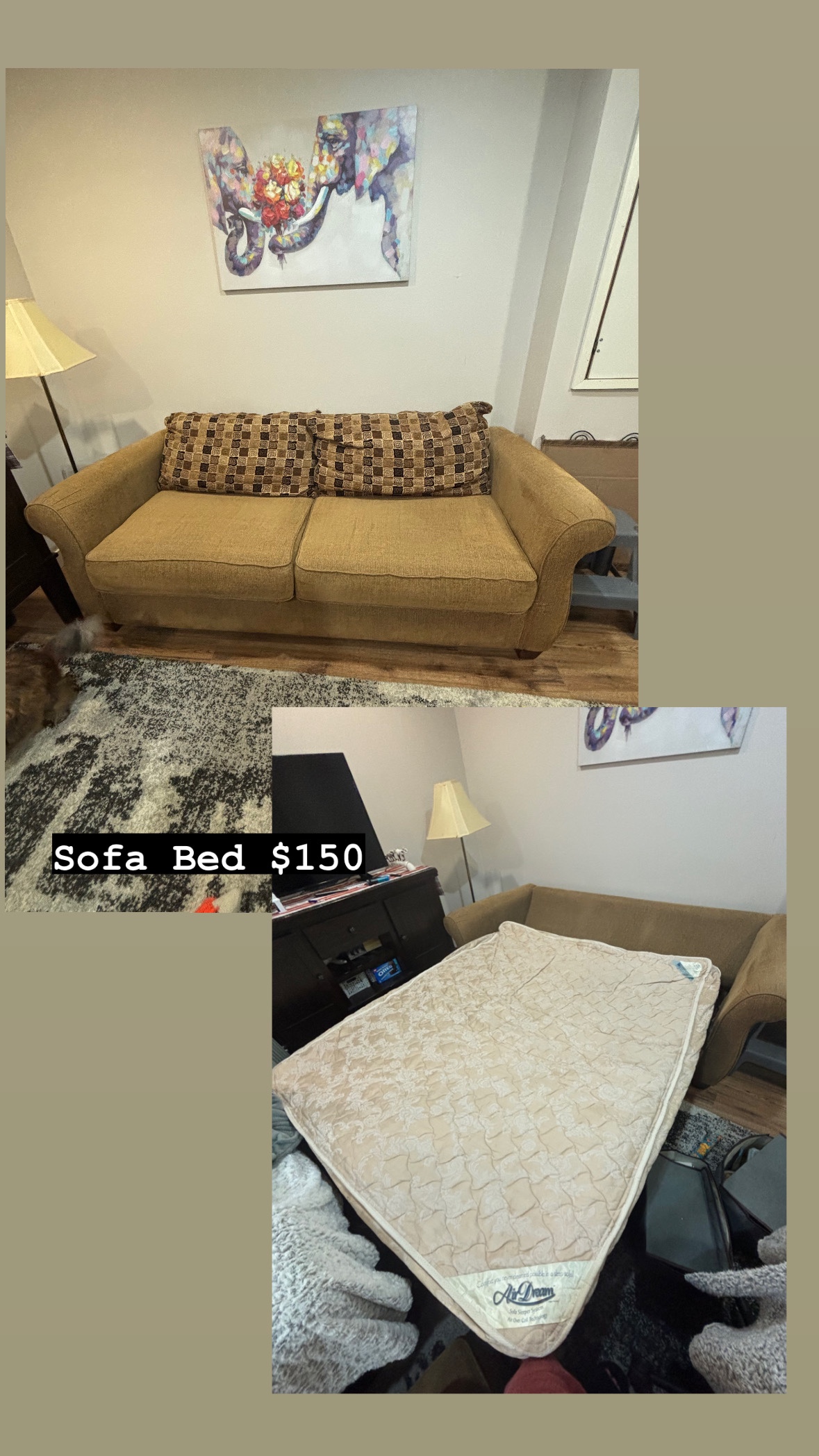 Sofa Bed