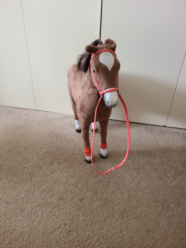 Girl's My Life collector horse