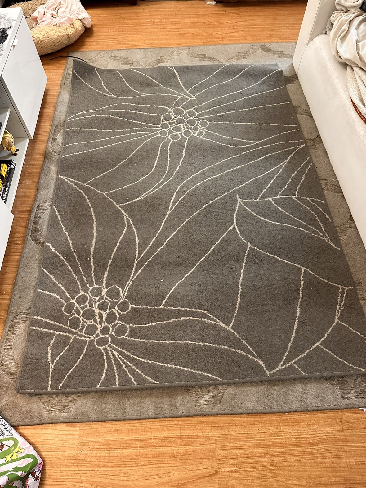 Rugs for free! - photo 2