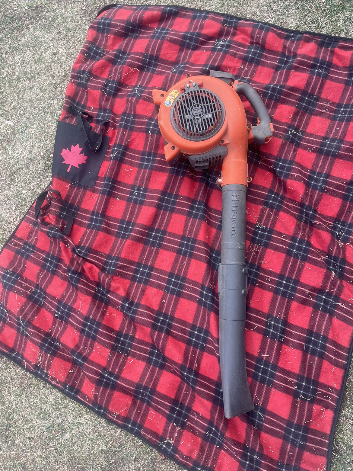 🧡Junior genius guides book 🧡 image indicator(7)