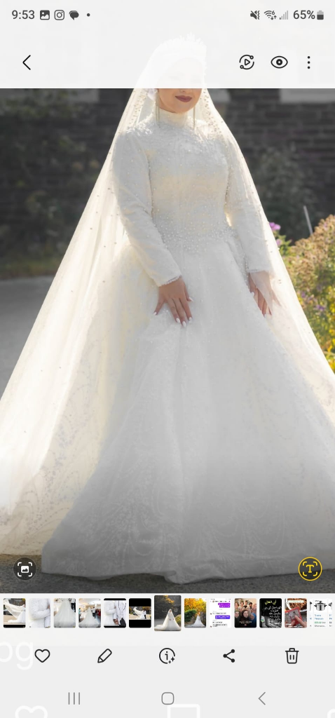 white wedding dress image indicator(2)