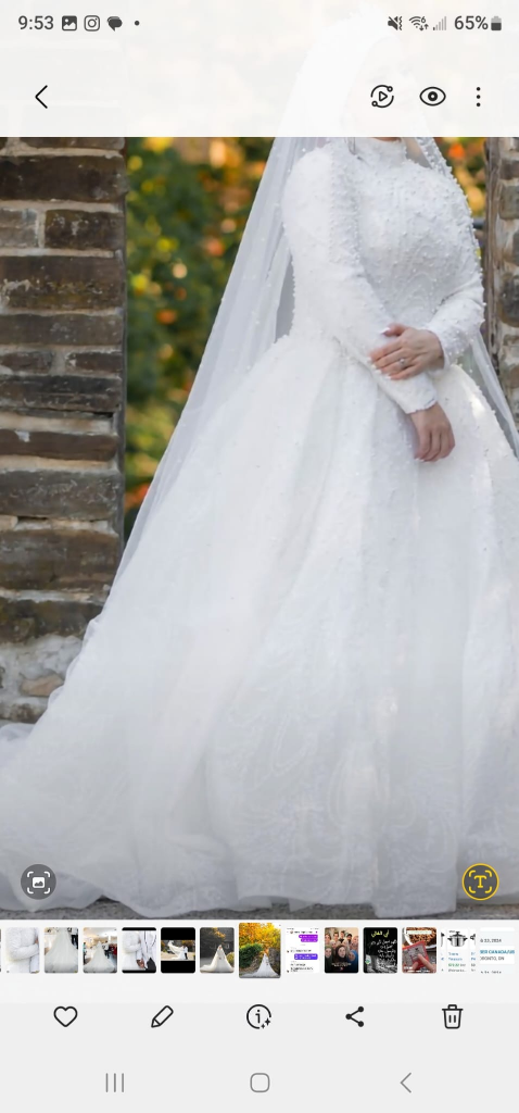 white wedding dress image indicator(4)