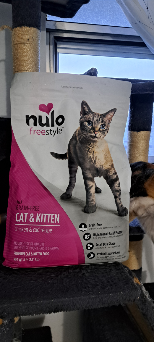 cat food