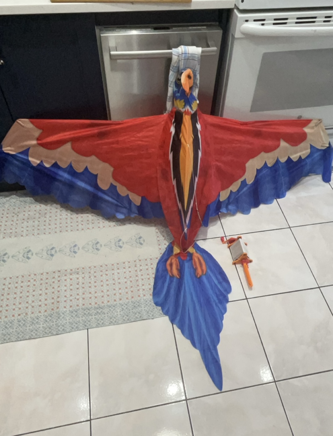 Bird kite thumbnail