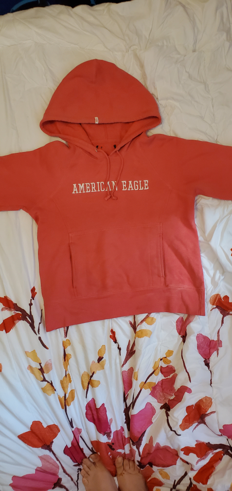 Y2K Cropped American Eagle Hoodie