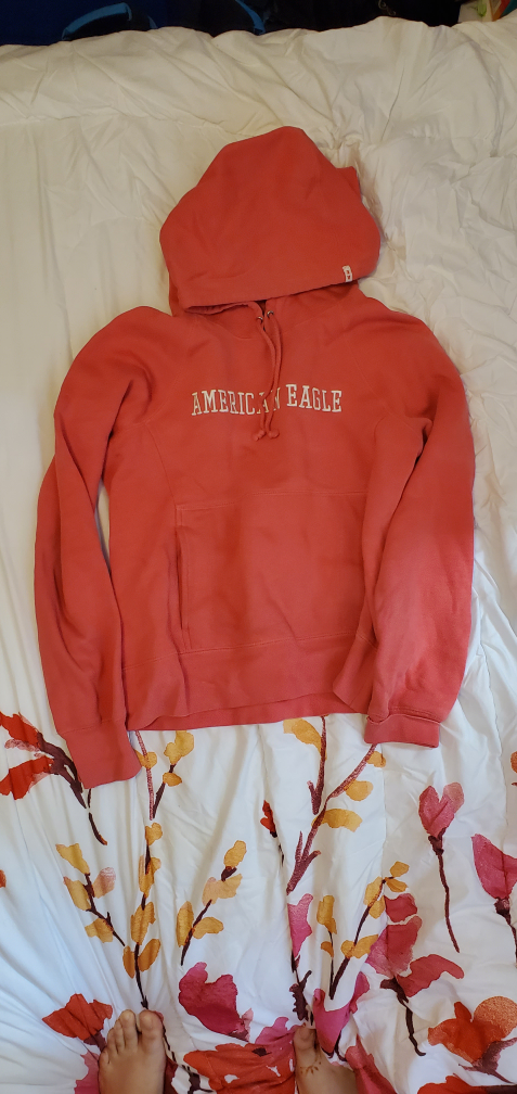 Y2K Cropped American Eagle Hoodie - photo 2