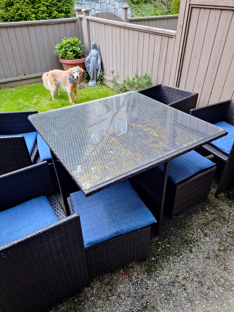 Patio set, up to 8 people