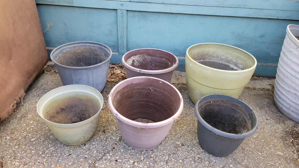 flower pots 🥕 - photo 2