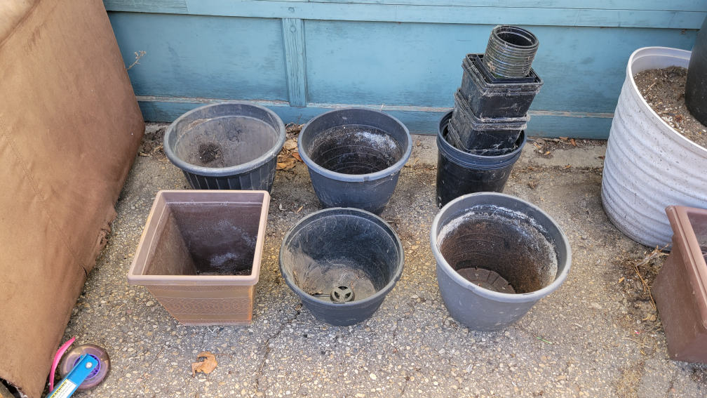 flower pots 🥕 - photo 3
